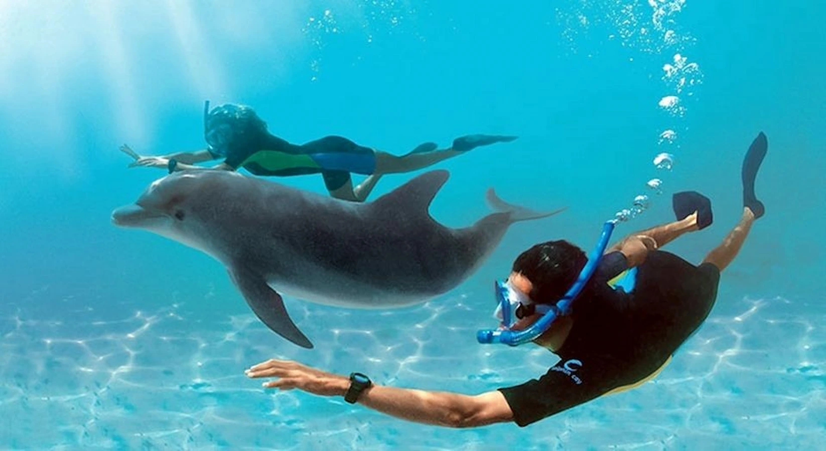 Dolphin Swimming Hurghada: Snorkel with Wild Dolphins